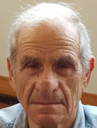 שלמה אהרונסון