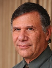 גדי וולפספלד