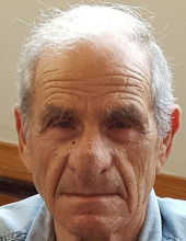 שלמה אהרונסון