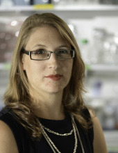 מוריה  ספיר